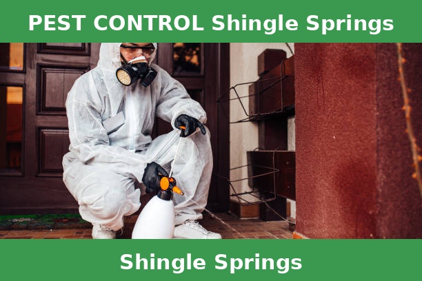 PEST CONTROL Shingle Springs